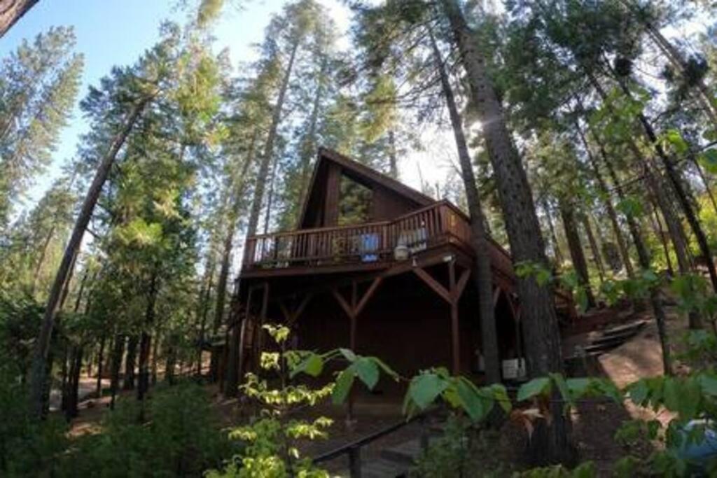 Vila Pinecrest A-Frame Family Fun Near Dodge Ridge Long Barn Exteriér fotografie